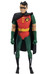 DC Direct: Batman The Animated Series - Robin