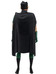 DC Direct: Batman The Animated Series - Robin