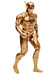 DC Direct: Super Powers - The Flash (Gold Variant)