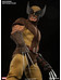 Marvel Comics - Wolverine - 1/6 DAMAGED PACKAGING