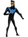 DC Direct: The New Batman Adventures - Nightwing