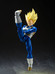 Dragon Ball Z - Super Saiyan Vegeta (Awakened Super Saiyan Blood) - S.H. Figuarts