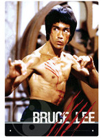 Bruce Lee Metal Poster