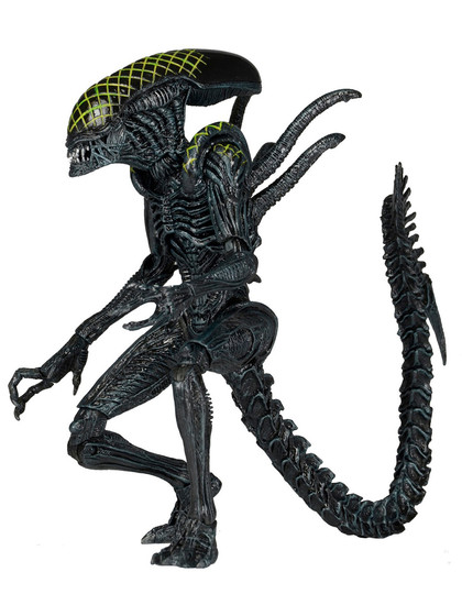 Alien - Grid Alien - S07