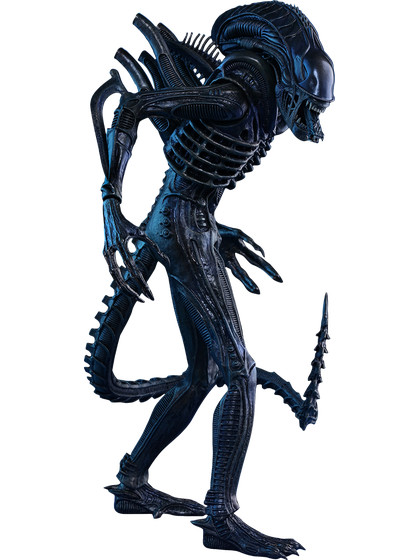 Alien - Alien Warrior - 1/6