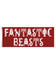 Fantastic Beasts - Red Mug