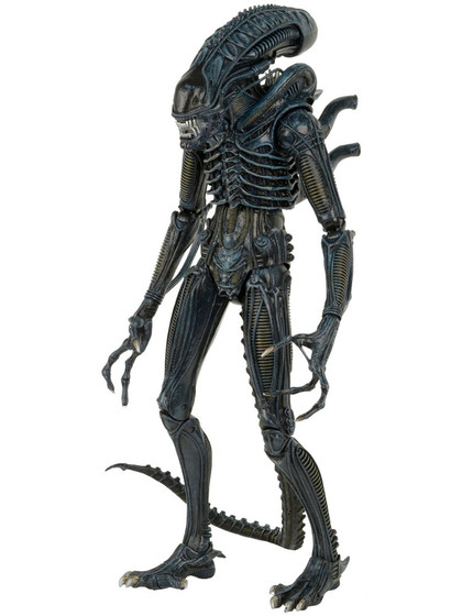 Aliens - 1986 Alien Warrior - 1/4