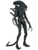 Aliens - 1986 Alien Warrior - 1/4