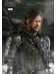 Game of Thrones - Sandor Clegane (The Hound) - 1/6