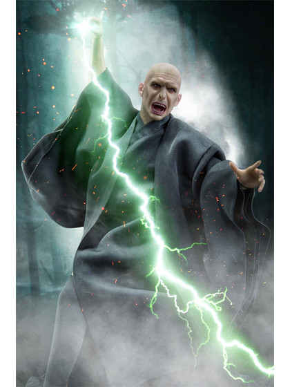 Harry Potter - Lord Voldemort - 1/6