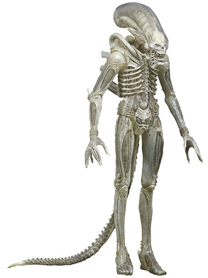 Alien - Xenomorph (Translucent) - S07