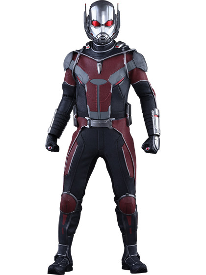 Marvel - Ant-Man MMS - 1/6