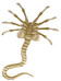 Alien - Facehugger Plush - 40 cm