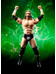 WWE - Triple H - S.H. Figuarts