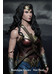 DC Comics - Wonder Woman - 1/4