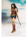 Justice League - Wonder Woman - Artfx+