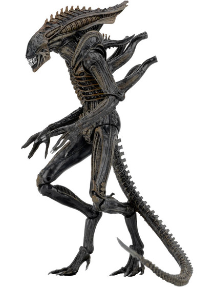 Alien - Xenomorph (Defiance) - S11