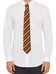 Harry Potter - Gryffindor Tie & Metal Pin