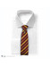 Harry Potter - Gryffindor Tie & Metal Pin