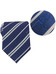 Harry Potter - Ravenclaw Tie & Metal Pin