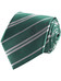 Harry Potter - Slytherin Tie & Metal Pin