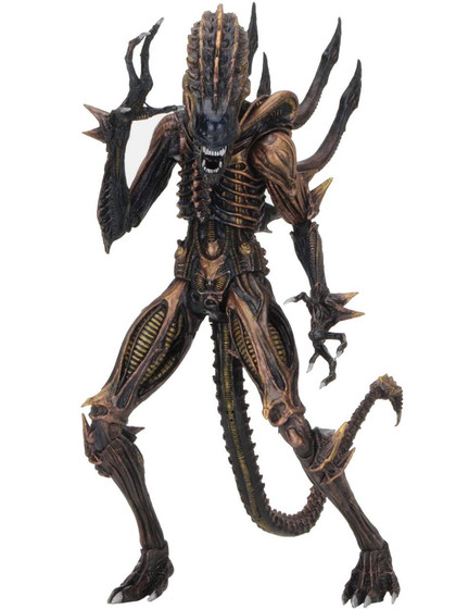 Alien - Scorpion Alien - S13