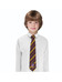 Harry Potter - Kids Tie Gryffindor