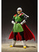 Dragonball Z - Great Saiyaman Tamashii Web Exclusive - S.H. Figuarts