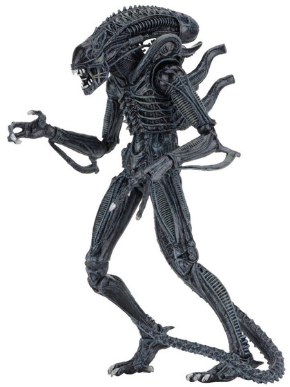 Aliens - Ultimate Alien Warrior Blue