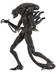 Aliens - Ultimate Alien Warrior Brown