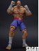 Ultra Street Fighter II - Sagat - 1/12