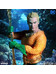 DC Comics - Aquaman - One:12