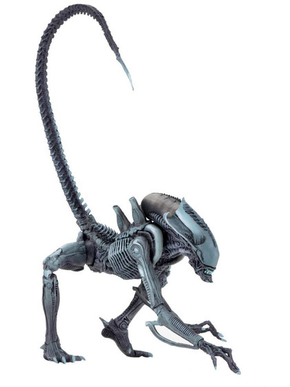 Alien vs Predator - Arachnoid Alien Blue