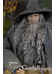 Lord of the Rings - Gandalf Action Figure - 1/6