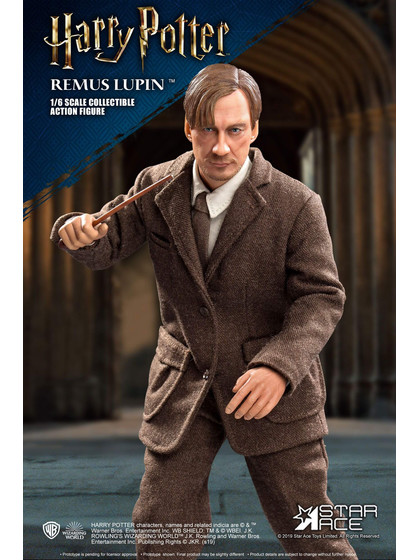 Harry Potter - Remus Lupin Deluxe My Favourite Movie Action Figures - 1/6