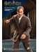 Harry Potter - Remus Lupin Deluxe My Favourite Movie Action Figures - 1/6