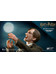 Harry Potter - Remus Lupin Deluxe My Favourite Movie Action Figures - 1/6