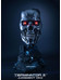 Terminator 2 - T-800 Endoskeleton Skull
