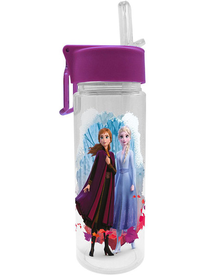 Frozen 2 - Anna & Elsea Water Bottle