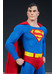 DC Comics - Sideshow Superman Action Figure - 1/6