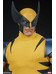  Sideshow Collectibles - Wolverine - 1/6 