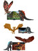 Godzilla - King Ghidorah & Godzilla - Monster Matchups