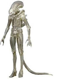 Alien - Big Chap (40th Anniversary Concept Ver.)
