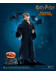  Harry Potter - Ron Weasley (Child) Halloween Limited Edition - 1/6