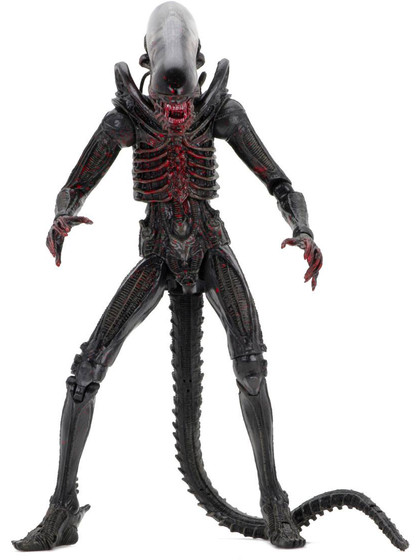 Alien - Xenomorph (Bloody)