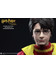 Harry Potter - Harry Potter (Quidditch Ver.) - My Favourite Action Figure - 1/6