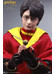 Harry Potter - Harry Potter (Quidditch Ver.) - My Favourite Action Figure - 1/6