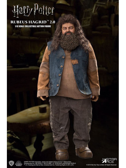  Harry Potter - Rubeus Hagrid 2.0 - 1/6