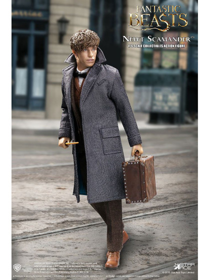 Fantastic Beasts - Newt Scamander Grey Coat Ver. - 1/6