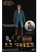 Fantastic Beasts - Newt Scamander Grey Coat Ver. - 1/6